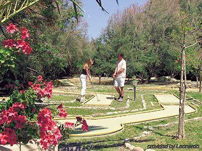 Fiesta Garden